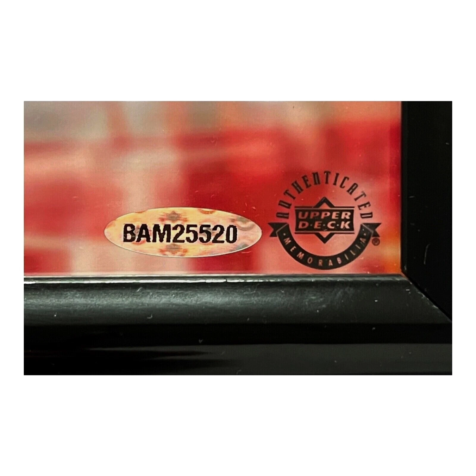 BAM25520 hologram